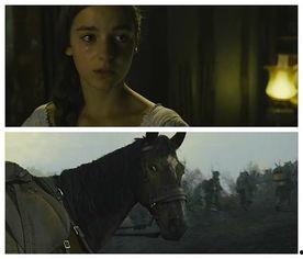 在线观看战马,跨越时空的骏骑传奇  第2张